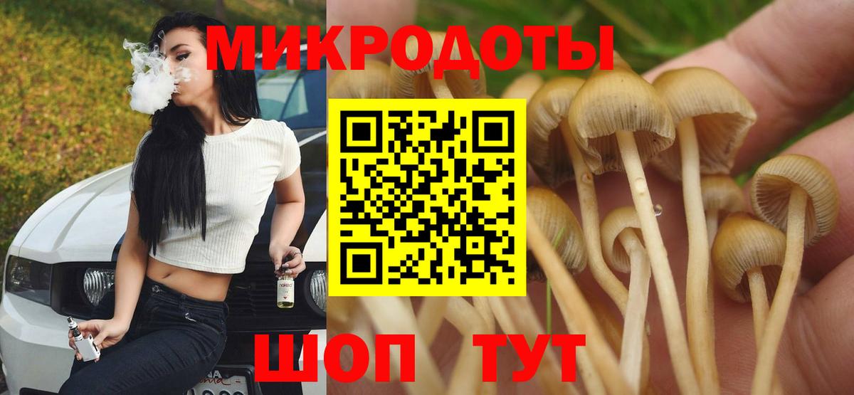 Псилоцибиновые грибы Psilocybine cubensis Славянск-на-Кубани